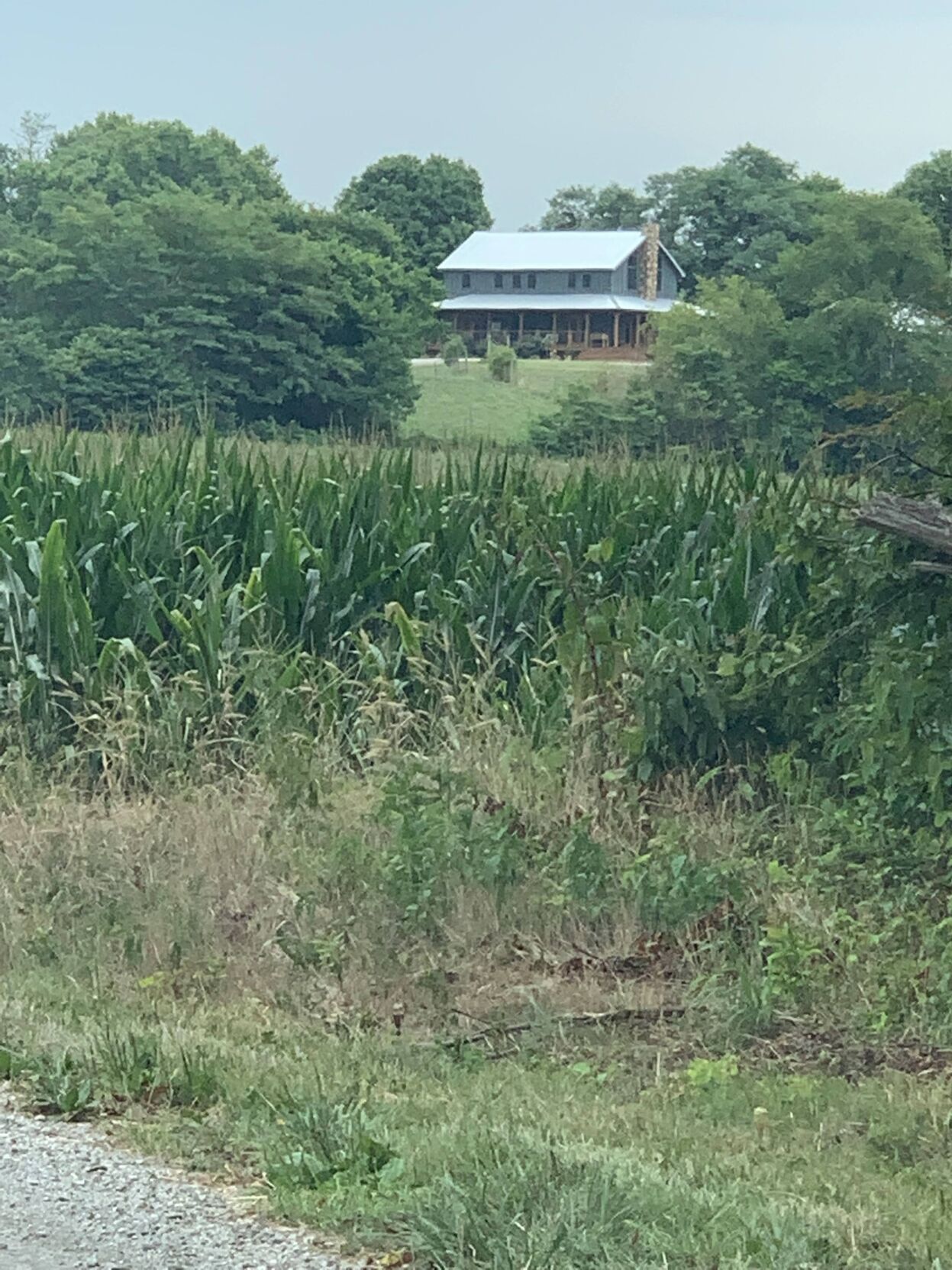 The likely site of Andrew Jackson and Charles Dickinson's duel